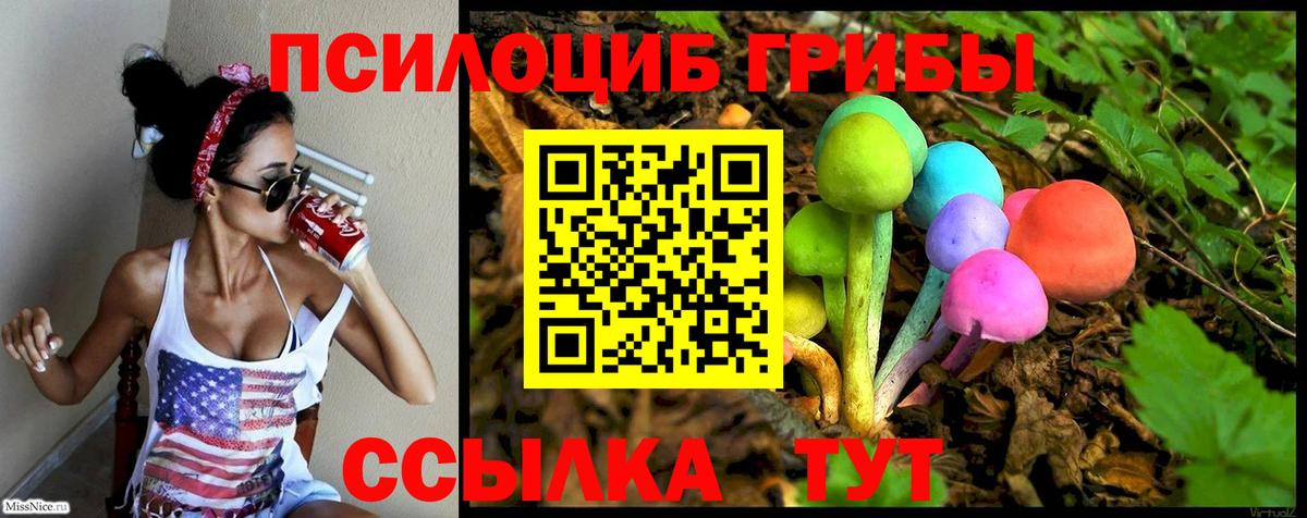 Псилоцибиновые грибы мухоморы  Вход с VPN  Новоалтайск 